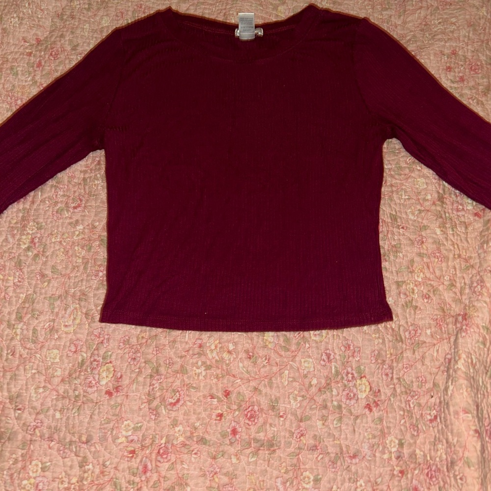 Bozzolo large burgundy long sleeve crop top